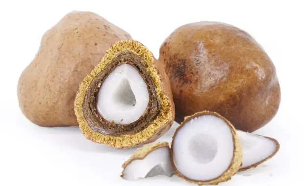 Buah Zuriat, Buah Sunah yang Dipercaya Dapat Membantu Program Kehamilan