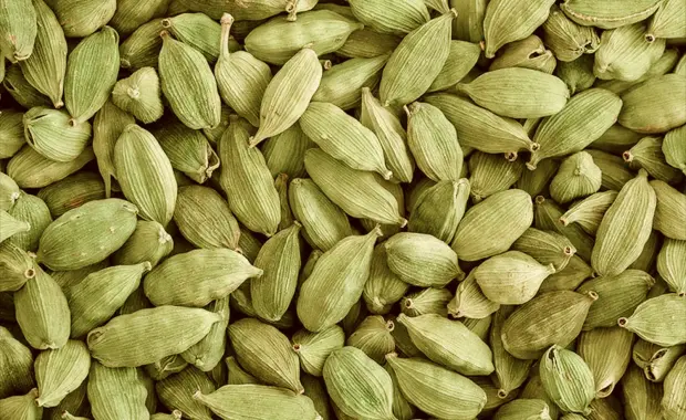 Kapulaga Hijau, Rempah Ajaib dengan Segudang Manfaat untuk Kesehatan dan Masakan