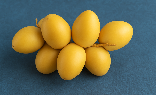 Manfaat Kurma Muda untuk Kesehatan dan Program Kehamilan