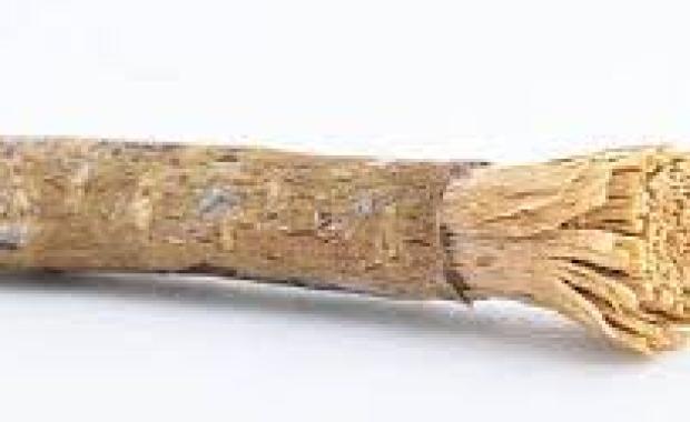 Manfaat Siwak untuk Kesehatan Gigi dan Mulut Menurut Sunnah Nabi