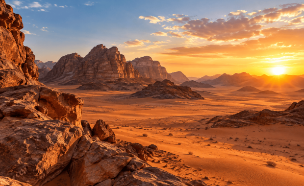 Tanaman Obat dari Arab Saudi yang Banyak Digunakan sebagai Herbal